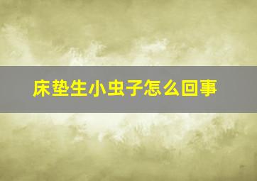 床垫生小虫子怎么回事