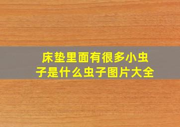 床垫里面有很多小虫子是什么虫子图片大全