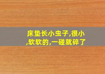 床垫长小虫子,很小,软软的,一碰就碎了