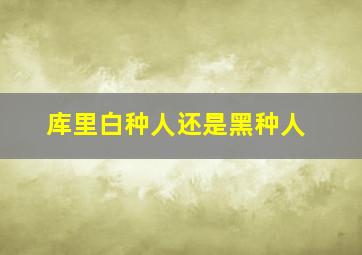 库里白种人还是黑种人