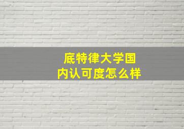 底特律大学国内认可度怎么样