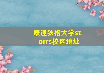 康涅狄格大学storrs校区地址