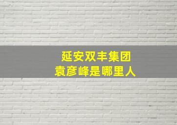 延安双丰集团袁彦峰是哪里人