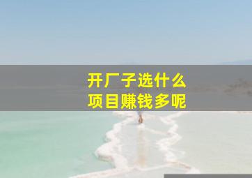 开厂子选什么项目赚钱多呢