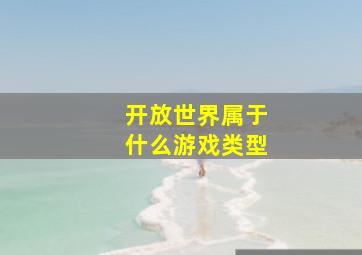 开放世界属于什么游戏类型