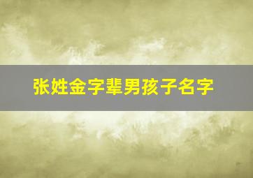 张姓金字辈男孩子名字