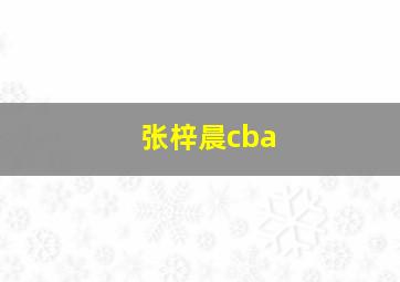 张梓晨cba