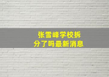 张雪峰学校拆分了吗最新消息