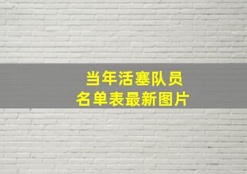 当年活塞队员名单表最新图片