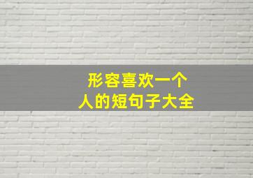 形容喜欢一个人的短句子大全