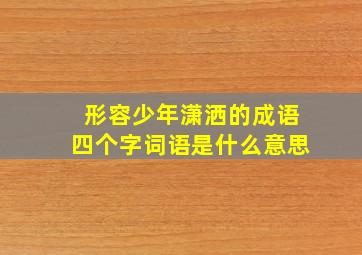 形容少年潇洒的成语四个字词语是什么意思