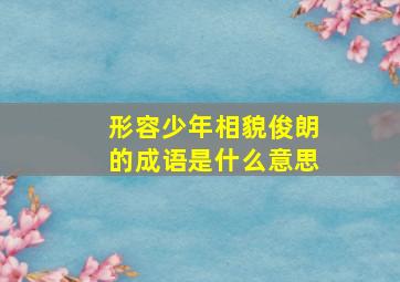 形容少年相貌俊朗的成语是什么意思