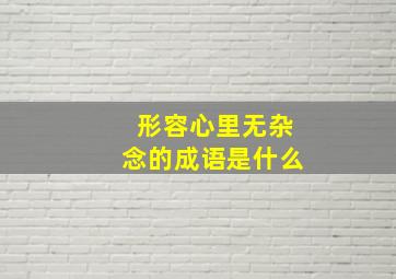 形容心里无杂念的成语是什么