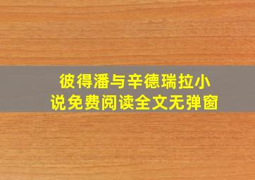 彼得潘与辛德瑞拉小说免费阅读全文无弹窗