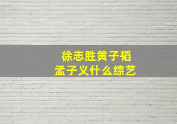 徐志胜黄子韬孟子义什么综艺