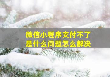 微信小程序支付不了是什么问题怎么解决