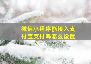 微信小程序能接入支付宝支付吗怎么设置