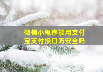 微信小程序能用支付宝支付接口吗安全吗