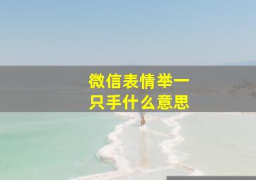 微信表情举一只手什么意思