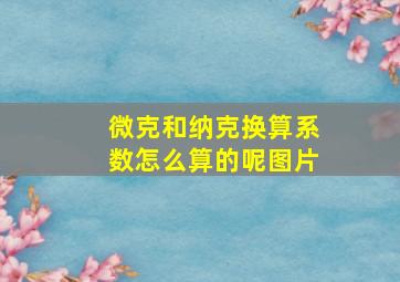 微克和纳克换算系数怎么算的呢图片