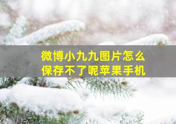 微博小九九图片怎么保存不了呢苹果手机