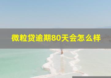 微粒贷逾期80天会怎么样