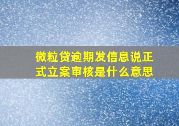 微粒贷逾期发信息说正式立案审核是什么意思