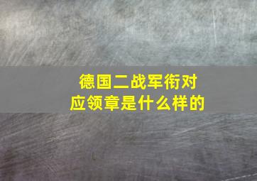 德国二战军衔对应领章是什么样的