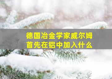 德国冶金学家威尔姆首先在铝中加入什么