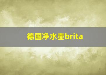 德国净水壶brita