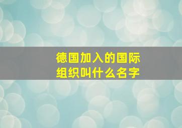 德国加入的国际组织叫什么名字