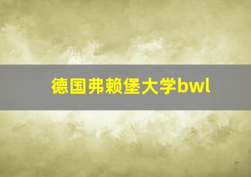 德国弗赖堡大学bwl