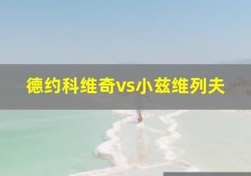 德约科维奇vs小兹维列夫