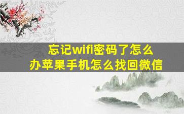 忘记wifi密码了怎么办苹果手机怎么找回微信