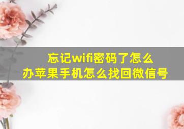 忘记wifi密码了怎么办苹果手机怎么找回微信号