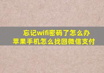 忘记wifi密码了怎么办苹果手机怎么找回微信支付