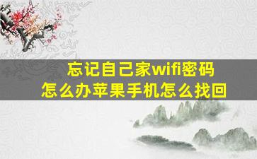 忘记自己家wifi密码怎么办苹果手机怎么找回