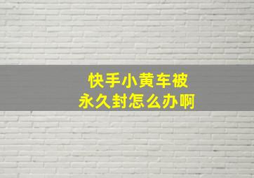 快手小黄车被永久封怎么办啊