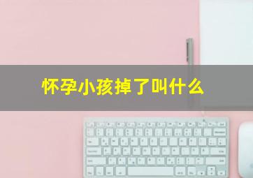 怀孕小孩掉了叫什么