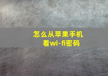 怎么从苹果手机看wi-fi密码