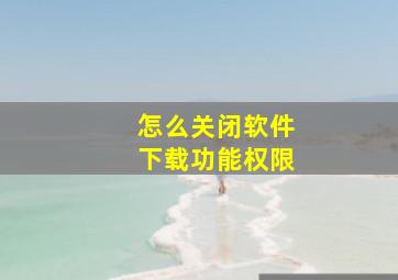 怎么关闭软件下载功能权限