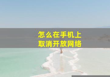 怎么在手机上取消开放网络