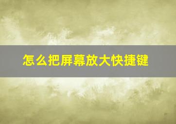 怎么把屏幕放大快捷键