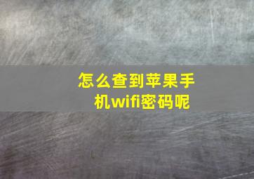 怎么查到苹果手机wifi密码呢