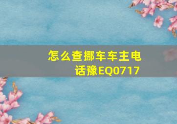 怎么查挪车车主电话豫EQ0717