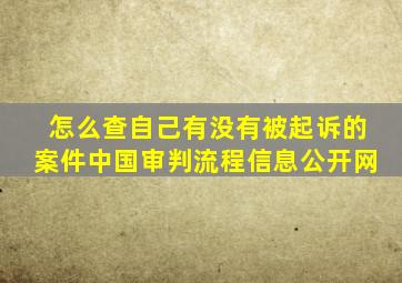 怎么查自己有没有被起诉的案件中国审判流程信息公开网