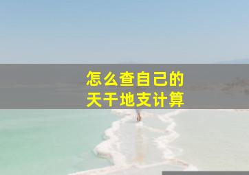 怎么查自己的天干地支计算