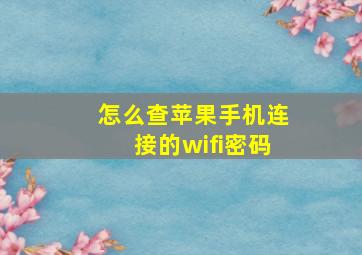 怎么查苹果手机连接的wifi密码