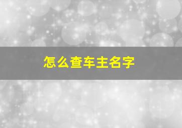 怎么查车主名字