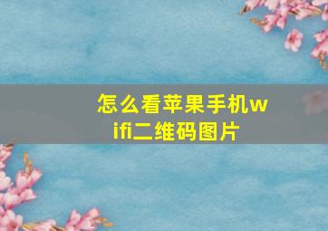 怎么看苹果手机wifi二维码图片